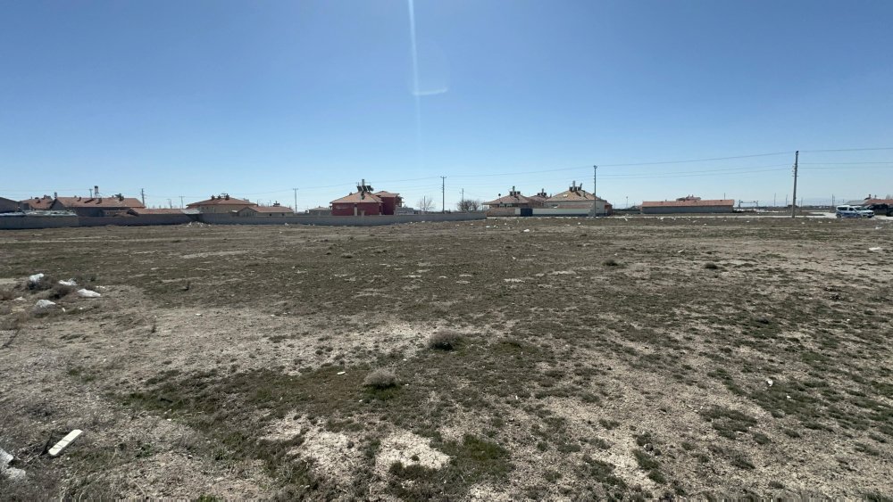 Konya'da sokak köpeklerinin saldırısında hayatını kaybeden Rana'nın otopsi raporu çıktı