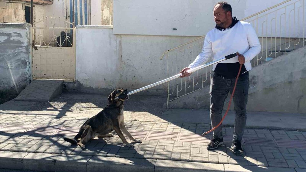 Köpeğin saldırısından oğlunu kurtarmak isteyen baba yaralandı