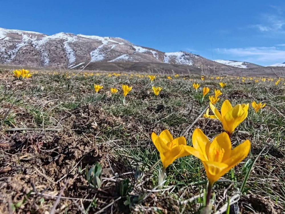 Konya'da son yılların en kurak kışı... Meşhur şelale kuruyabilir!