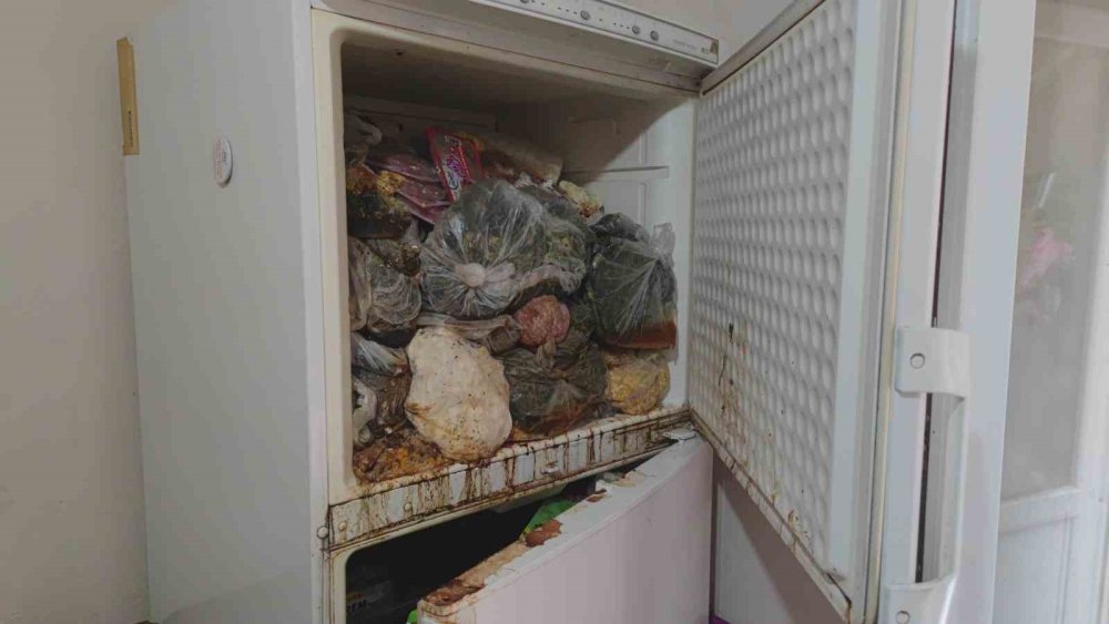 İstanbul'da yaşlı kadının evinden 6 kamyon çöp çıktı