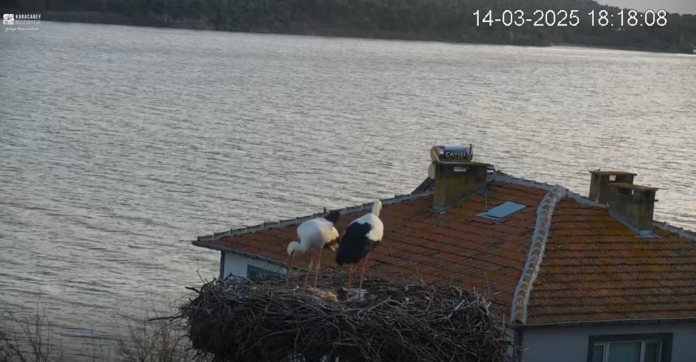 Filme konu olan buluşma gerçekleşti! Yaren Leylek ile Adem Amca, 14'üncü kez buluştu