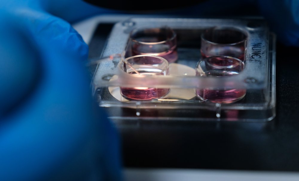 Konya'da bir ilk gerçekleştiriliyor!