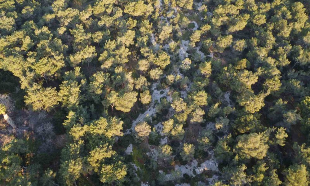 Sıcaklık artışında dünyayı geçtik!