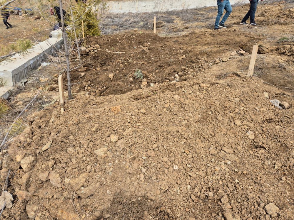 Annesinin tabutunun başında kalp krizi geçirdi