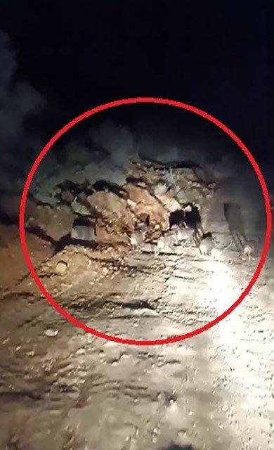 Domuz sürüsü kameraya yakalandı