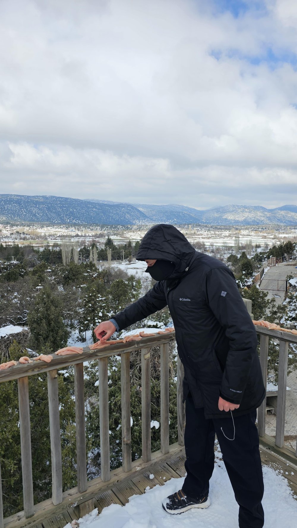 Afrika'dan geliyorlar! Türkiye'nin en büyük leylek kolonilerinden birisi Konya'da...