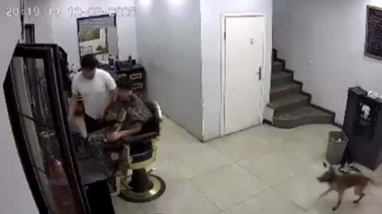 Kuaförde tıraş olan müşteriyi köpek ısırdı