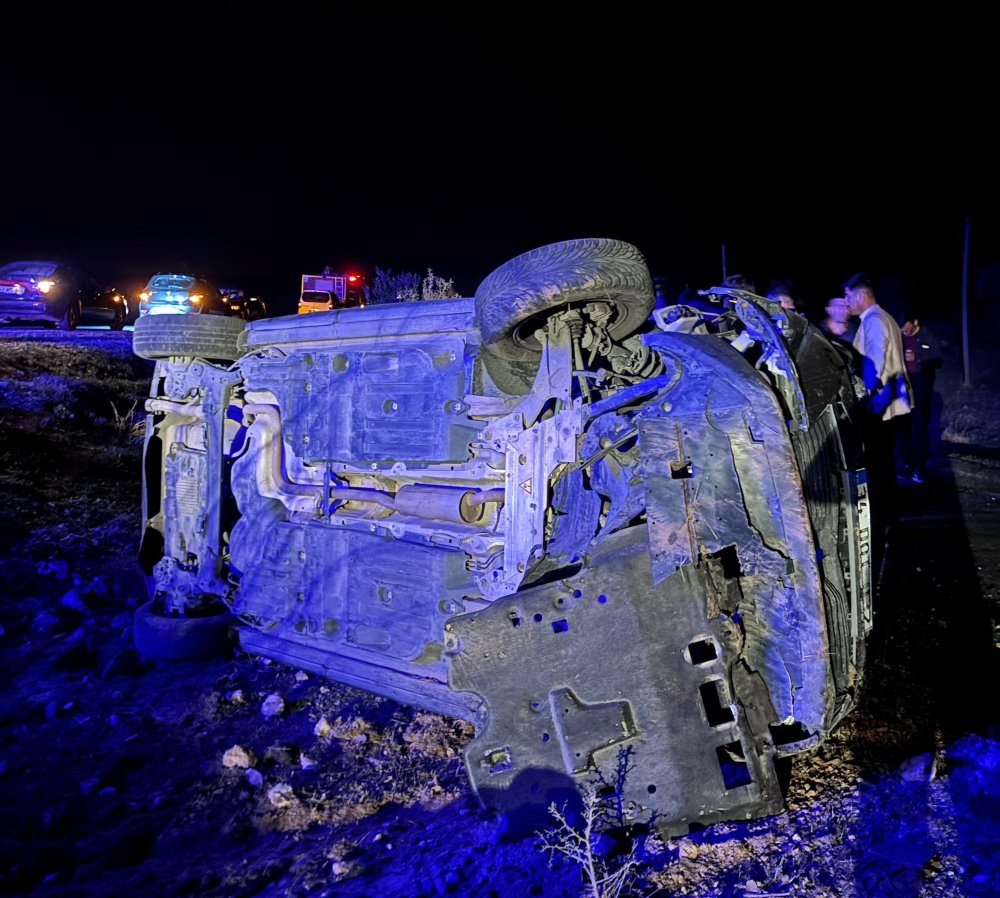 Domuz sürüsü neden oldu! 5 yaralı
