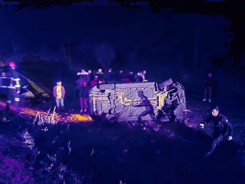 Domuz sürüsü neden oldu! 5 yaralı