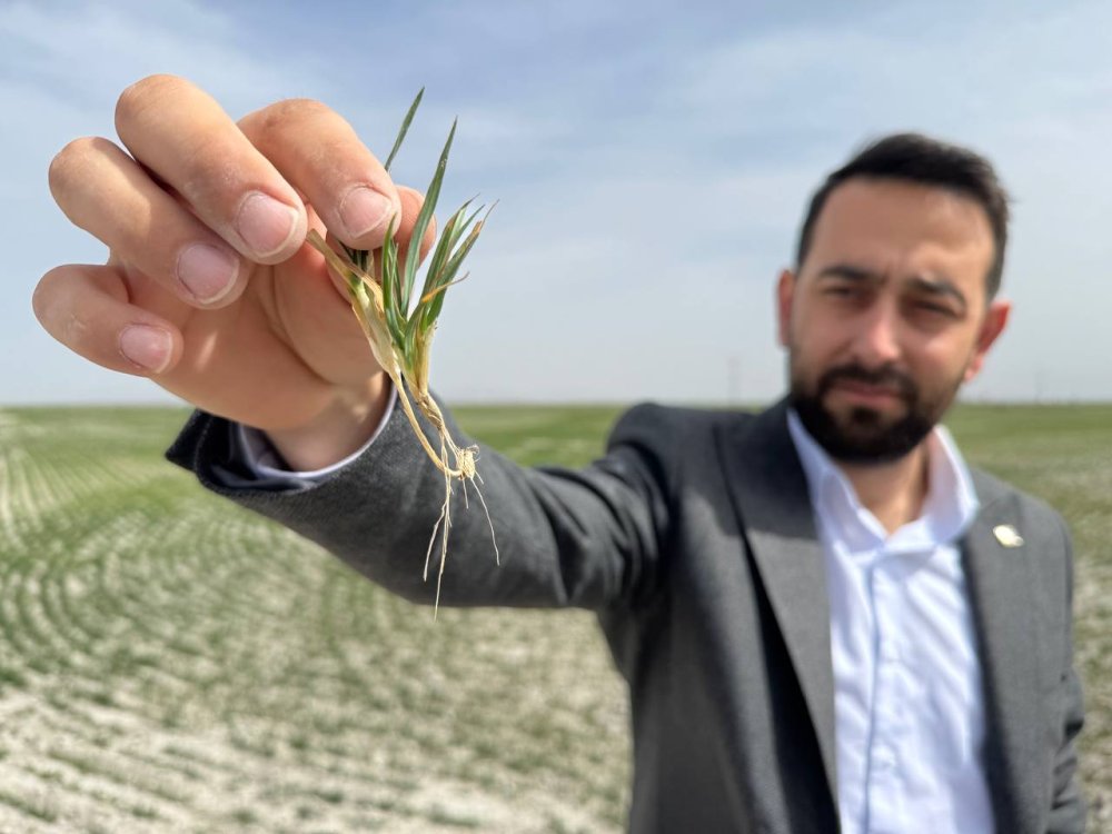 Konya Ovası'nda kritik nisan ayı... O tarihe kadar yüksek risk var