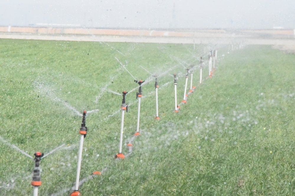 Konya Ovası'nda kritik nisan ayı... O tarihe kadar yüksek risk var