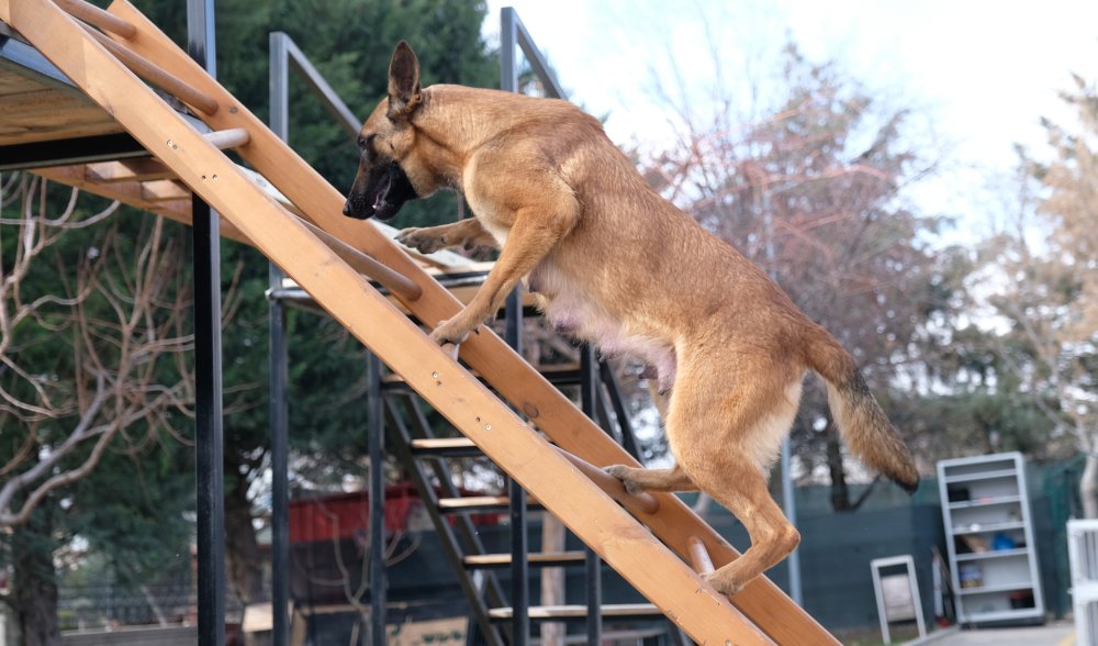 Konya'da 6 kahraman dünyaya geldi