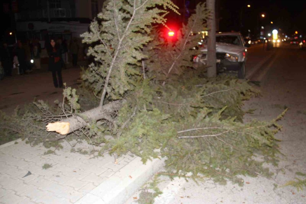 Konya'da seyir halindeki otomobil ağaca çarptı: 6 yaralı