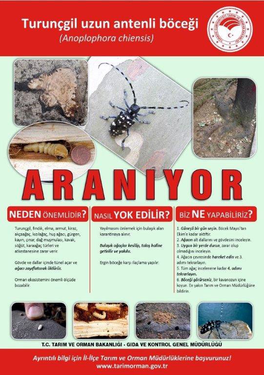 Kırmızı bültenle aranıyor! Görüldüğü yerde imha ediliyor