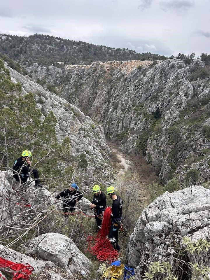 Konya’da dağlık alanda şok! Kurtlar telef etti