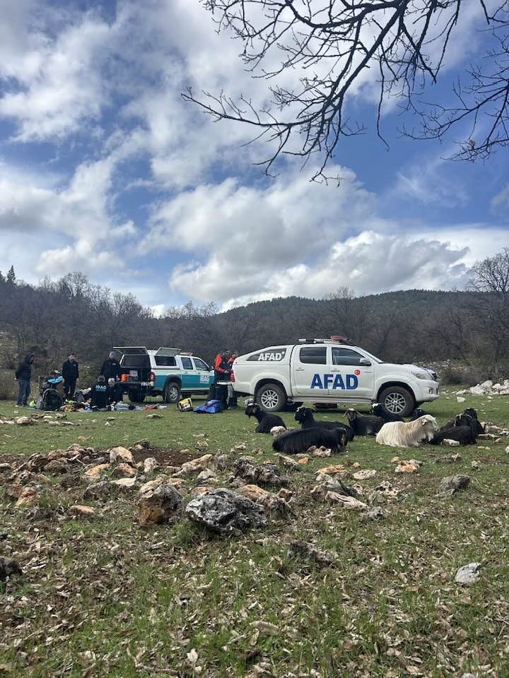 Konya’da dağlık alanda şok! Kurtlar telef etti