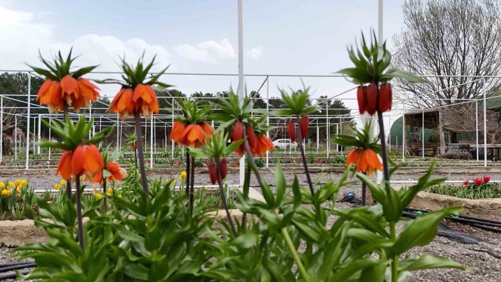 Sadece 20 gün... Dokunanın hayatı bitiyor!