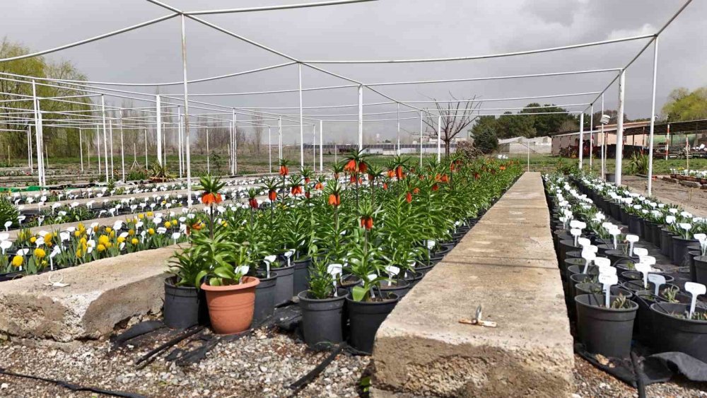 Sadece 20 gün... Dokunanın hayatı bitiyor!