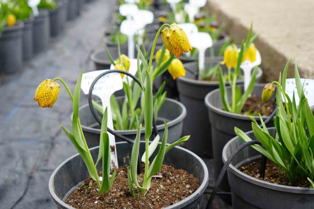 Sadece 20 gün... Dokunanın hayatı bitiyor!