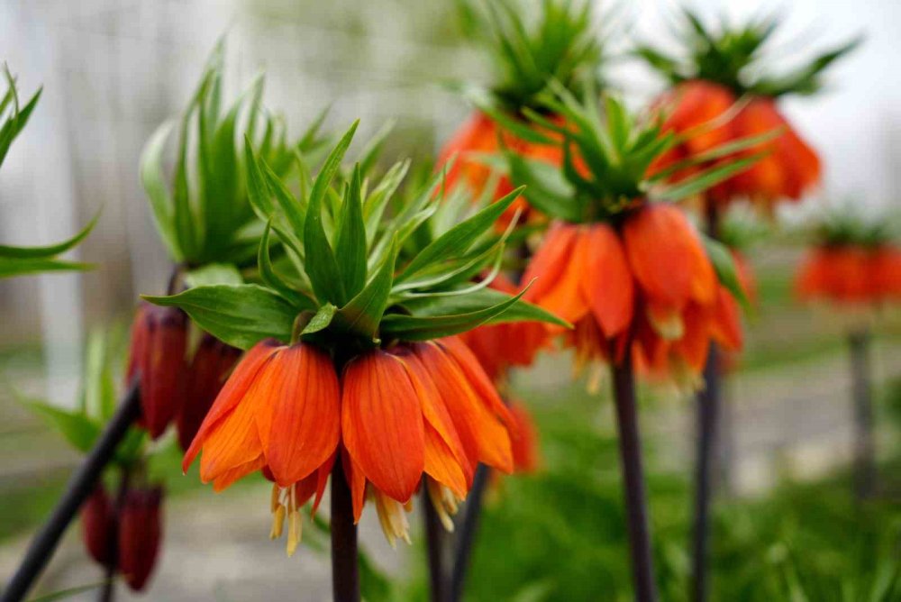 Sadece 20 gün... Dokunanın hayatı bitiyor!