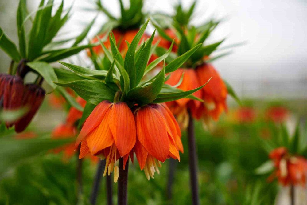 Sadece 20 gün... Dokunanın hayatı bitiyor!