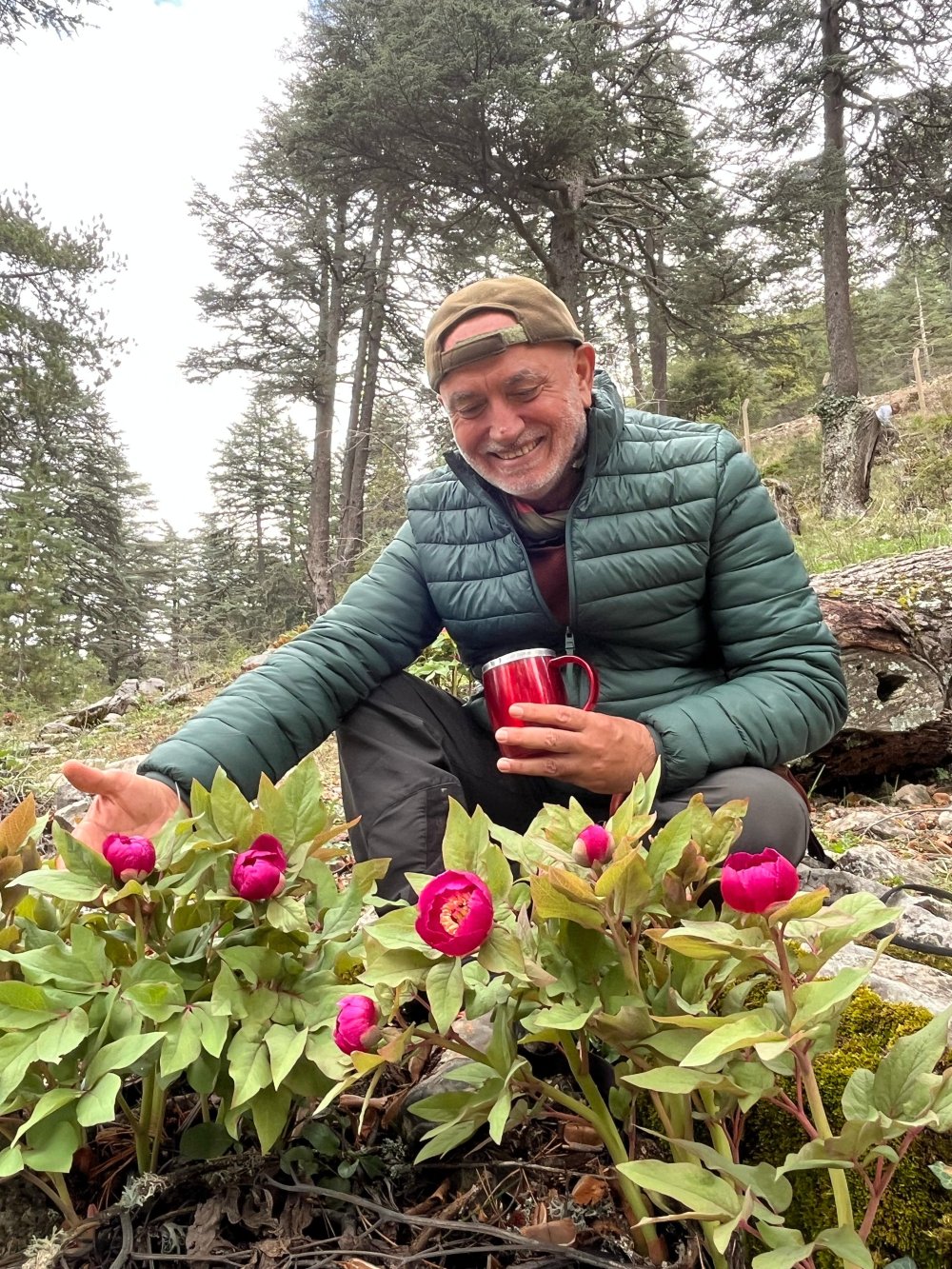 Türkiye'de bir çok bölgede bulunuyor... Koparmanın cezası büyük