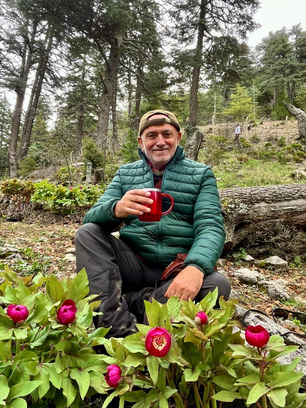 Türkiye'de bir çok bölgede bulunuyor... Koparmanın cezası büyük