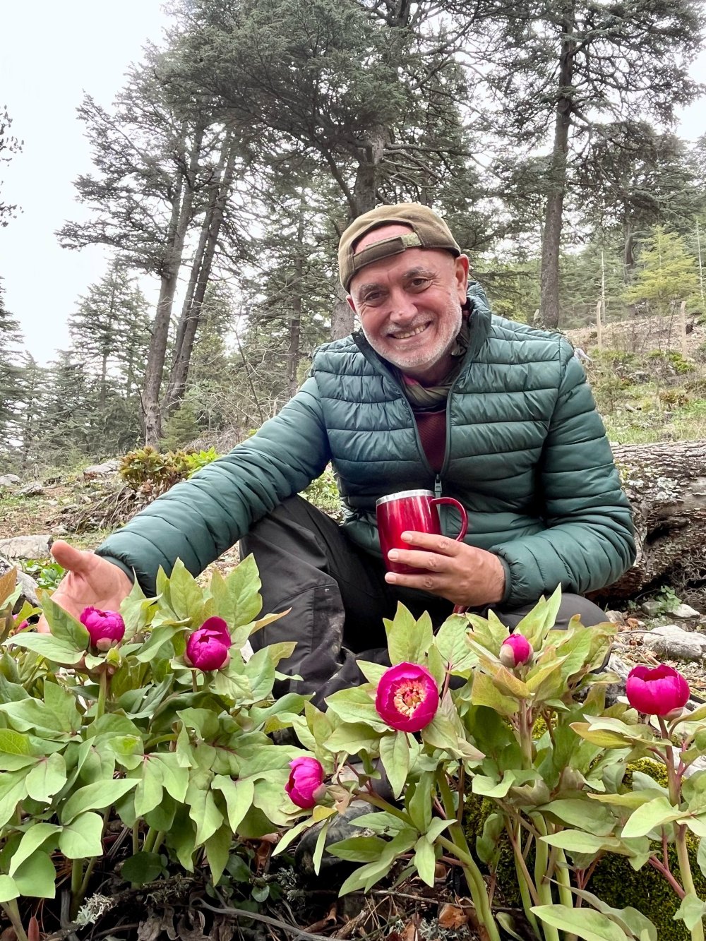 Türkiye'de bir çok bölgede bulunuyor... Koparmanın cezası büyük