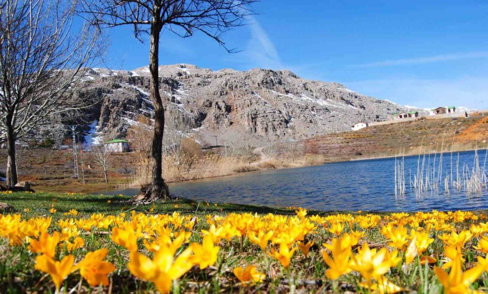 Yürüyüş tutkunları Konya'nın tarihi yolunda buluştu