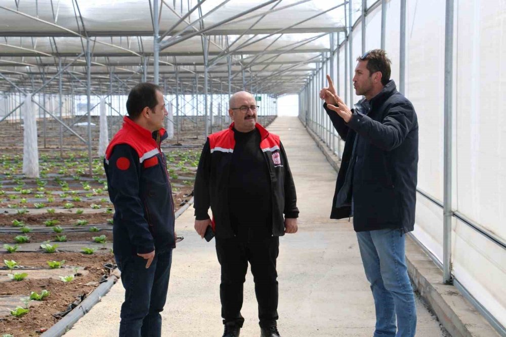 Erzincan ve ilçelerini zirai don vurdu