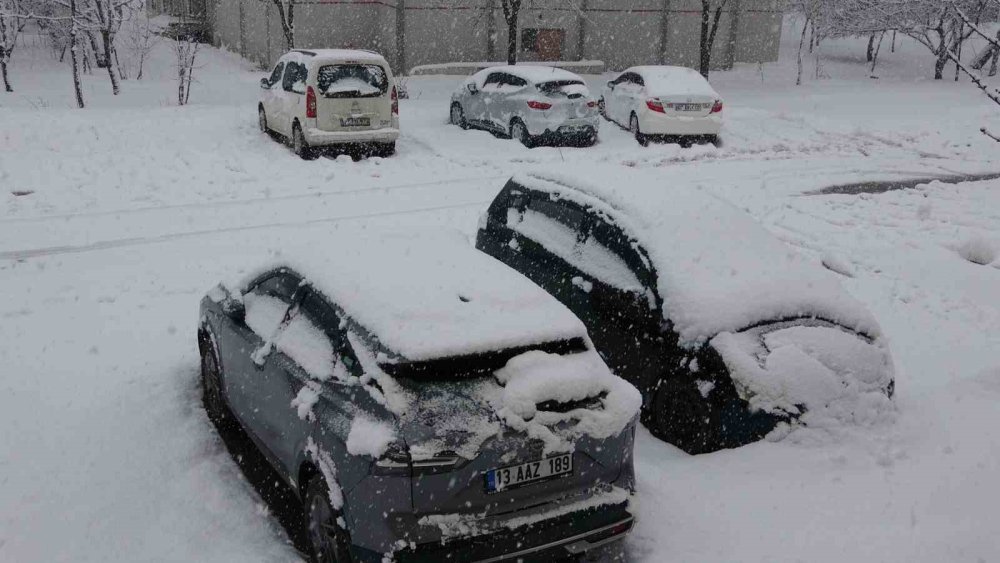 Nisanda lapa lapa kar yağdı