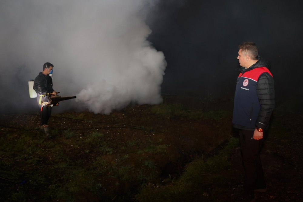 Zirai don fındığı vurdu