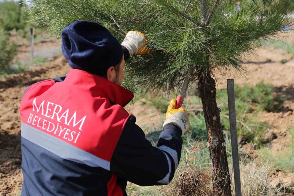 Konya merkezde tüm yeşil alanlar yaza hazırlanıyor
