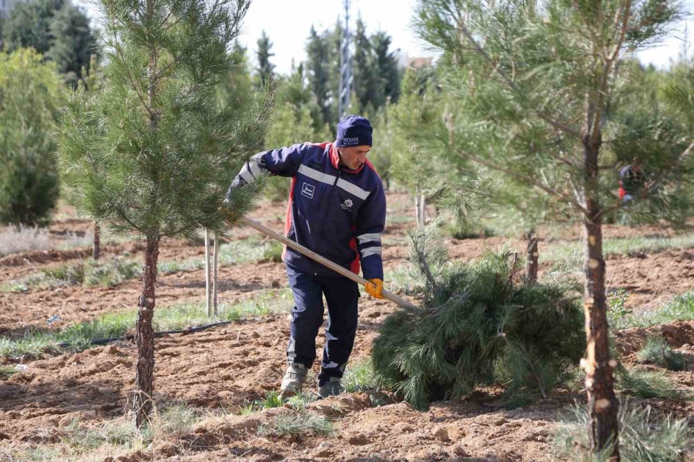 Konya merkezde tüm yeşil alanlar yaza hazırlanıyor