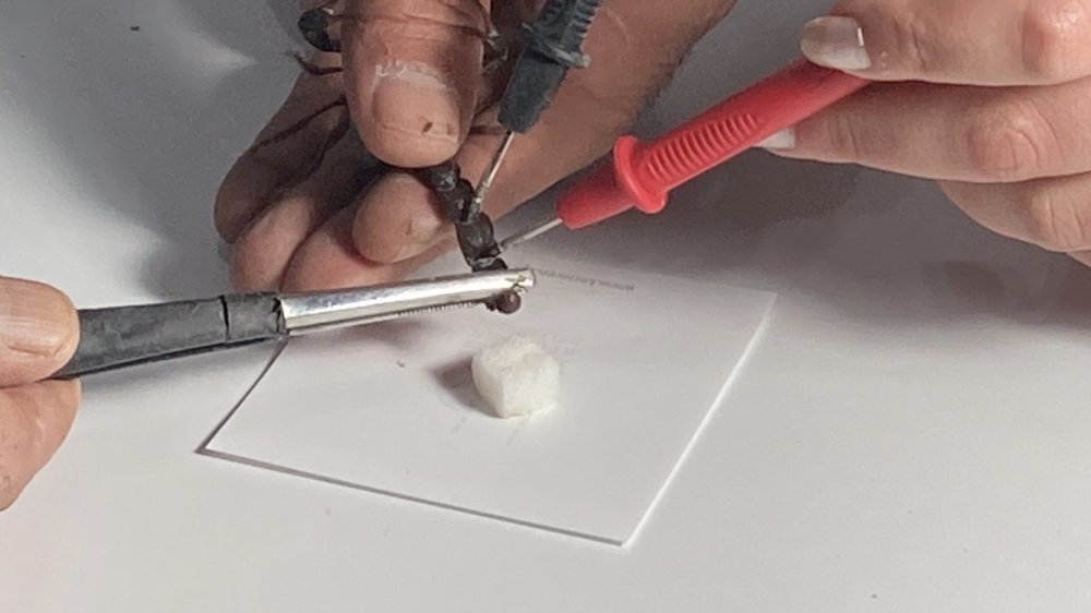 Küçük bir odanın içerisinde 3 bin adet mavi akrep yetiştiriyor