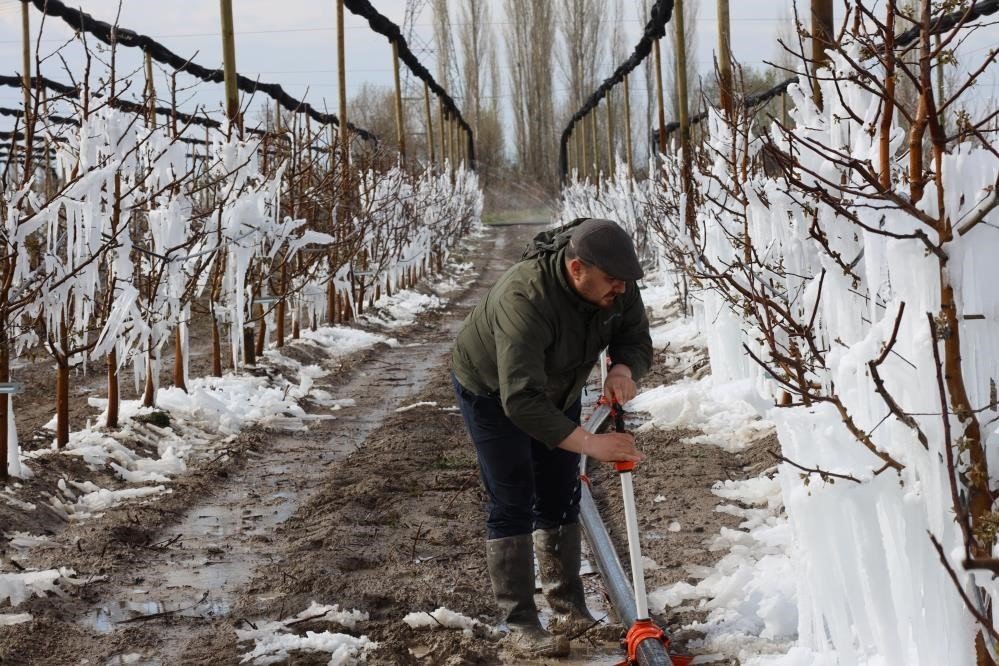 Zirai don Konya'yı vurdu! Üreticiler ne yapmalı?