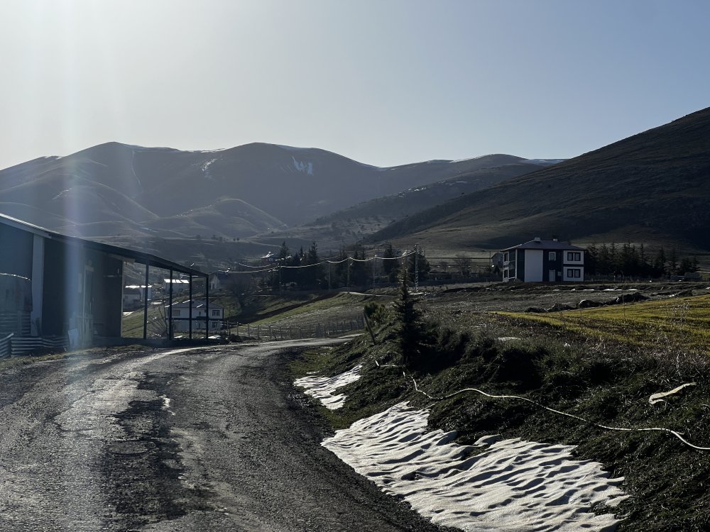 Çoban köpeklerinin saldırdığı yaşlı adam öldü