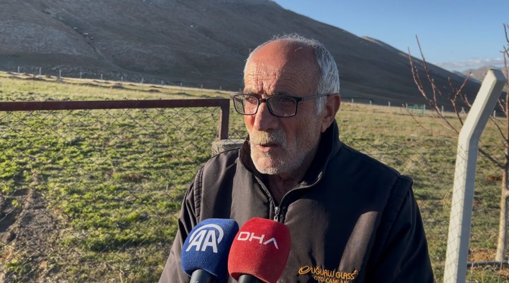 Çoban köpeklerinin saldırdığı yaşlı adam öldü