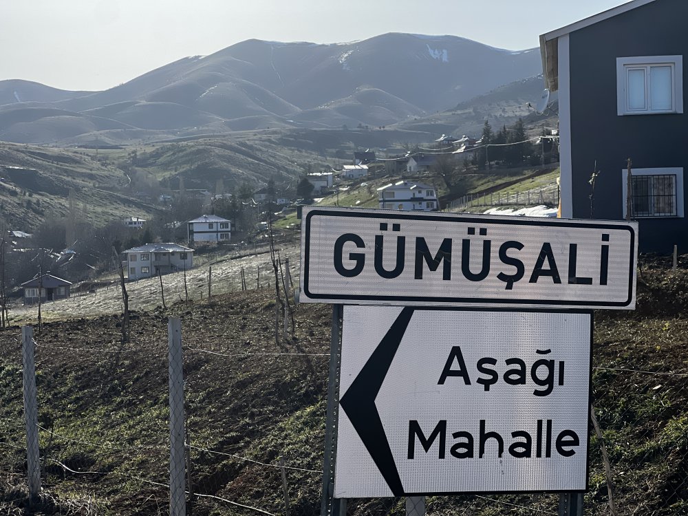 Çoban köpeklerinin saldırdığı yaşlı adam öldü