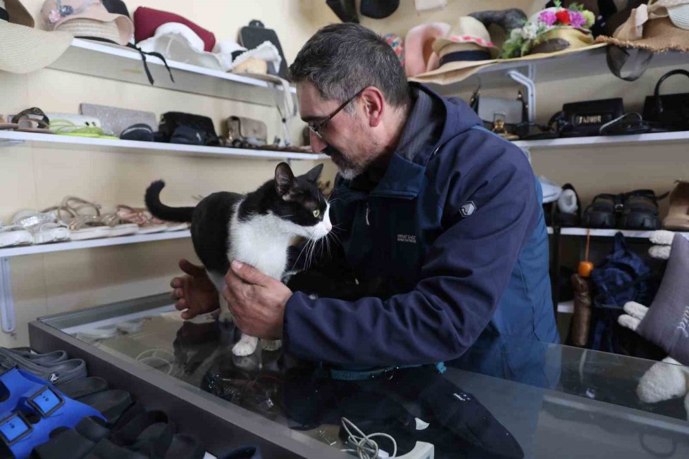 Konya'daki dükkan yavruların yuvaları oldu