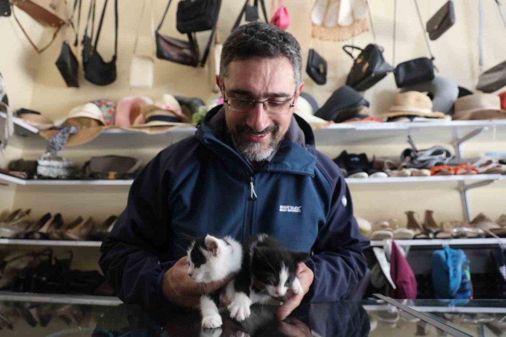 Konya'daki dükkan yavruların yuvaları oldu