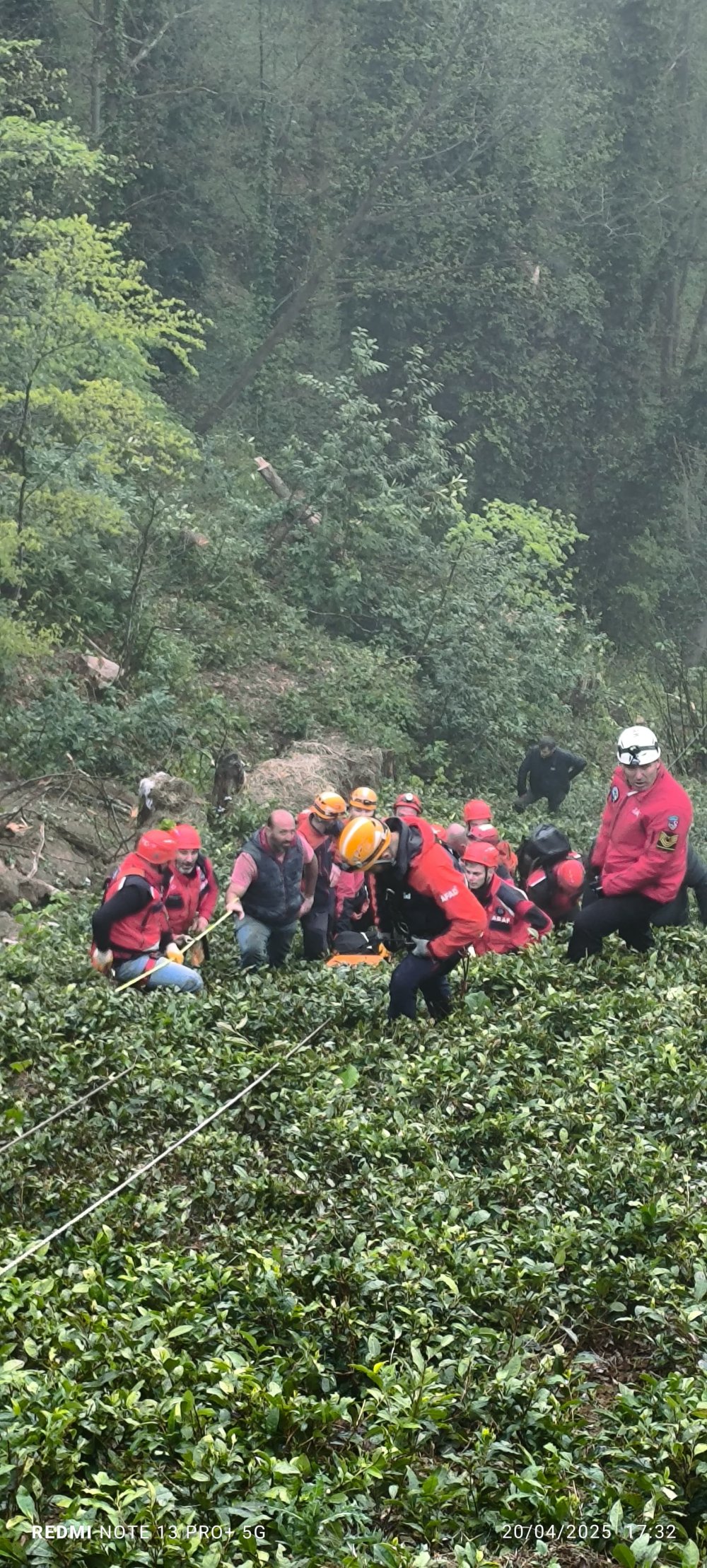 Kestiği ağacın altında kalan muhtar öldü