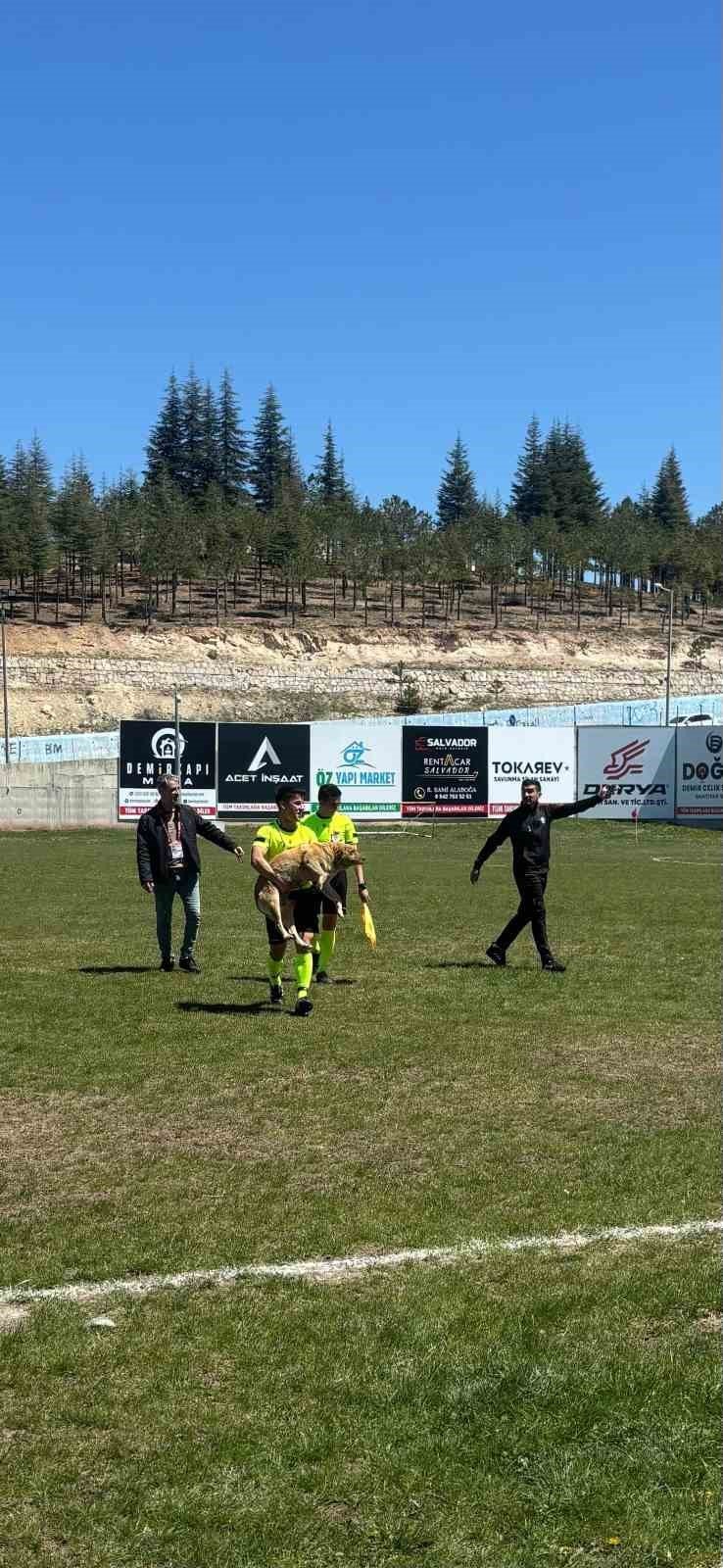 Konya'da amatör müsabakada sahaya giren köpeğe kırmızı kart