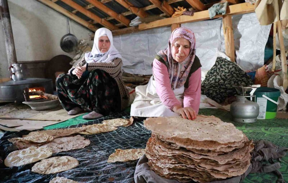Konya'da ekmeklerini taştan değil armuttan çıkarıyorlar