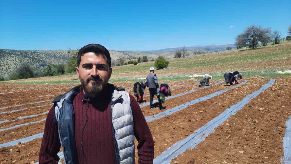 Konya'da dikim başladı... Kuraklığa dayanıklı, tamamen doğal