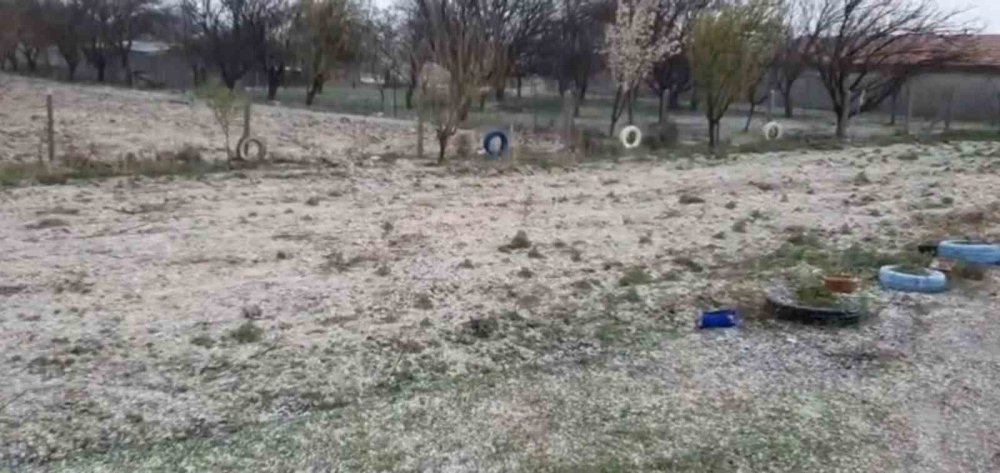 Konya'da üreticilere uyarı! Son tahminler belli oldu