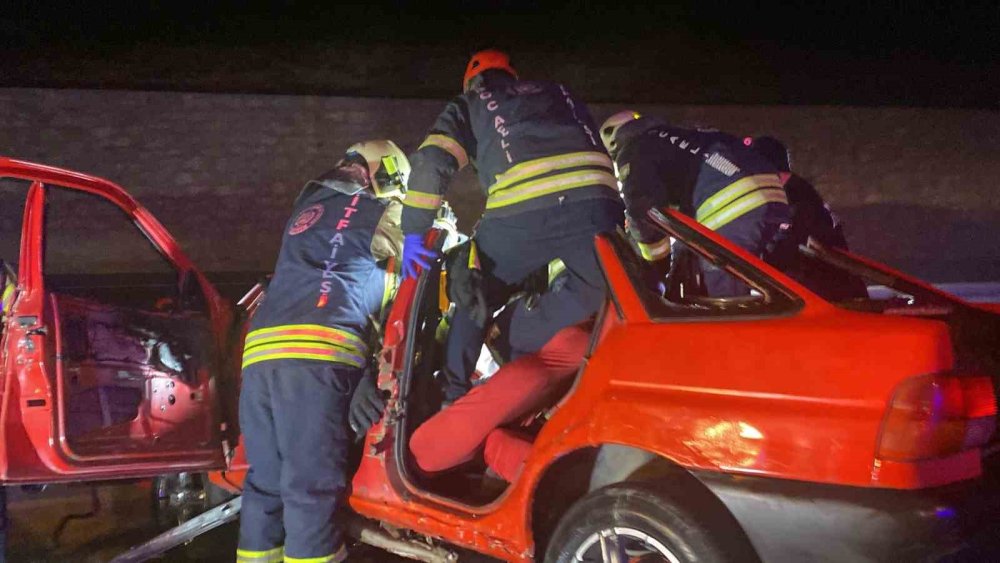 Beraber büyüdüler, beraber öldüler