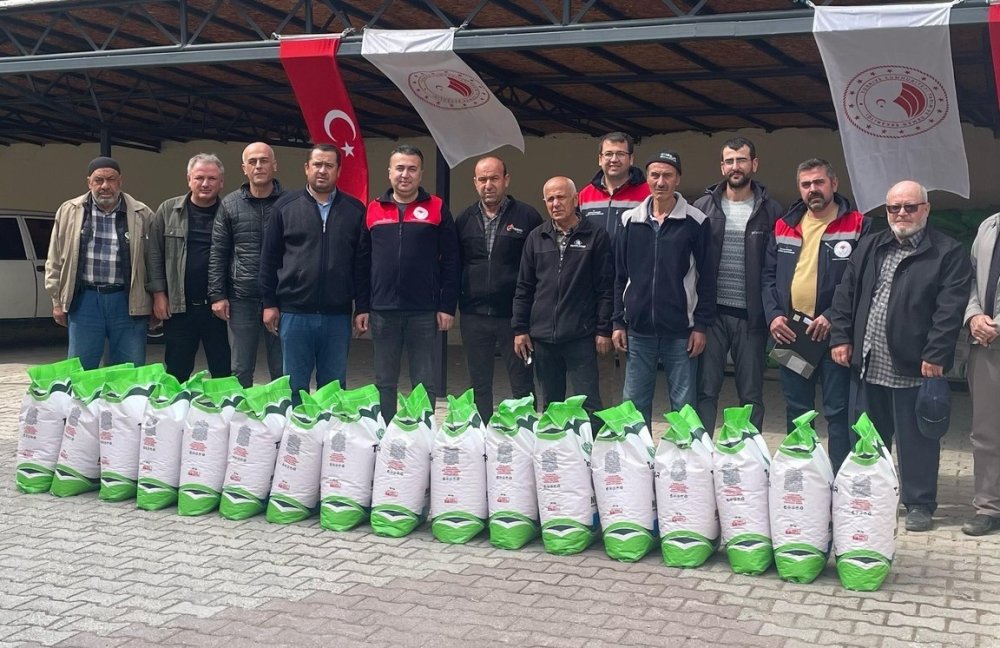 Konya'da üreticiler ‘beyaz altınla’ kazanacak
