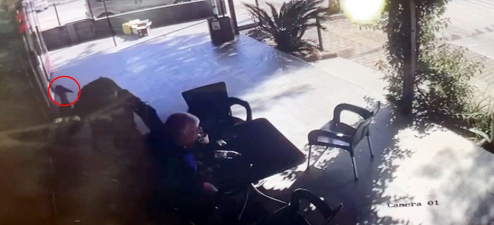 'Öldürme komutu aldım' dedi, öldürdü