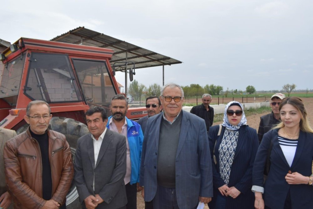 Yüksek getirisi var! Konya bu üretimin başkenti olacak